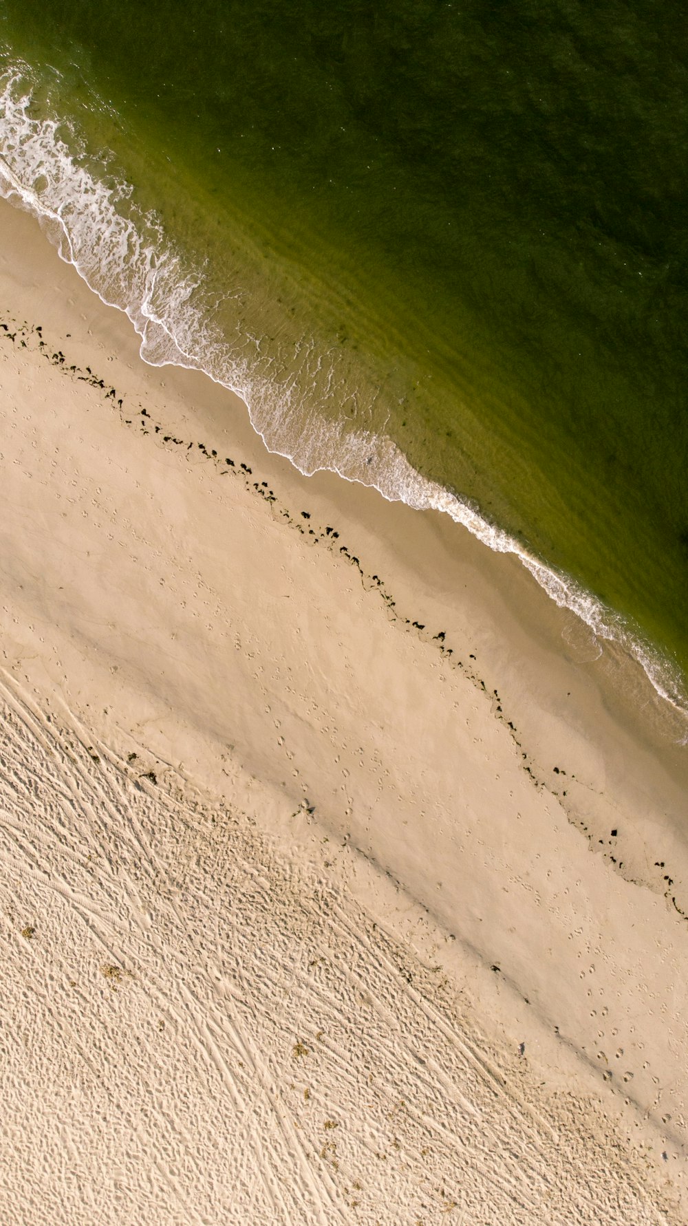 aerial photo of seashore