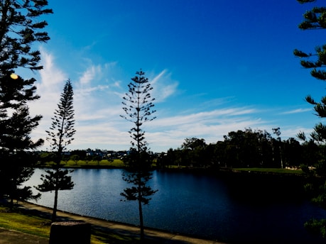 A serene landscape featuring a calm body of water surrounded by tall, slender trees. The sky is a vibrant blue with scattered wispy clouds. Sunlight casts gentle shadows on the ground, adding to the peaceful atmosphere.