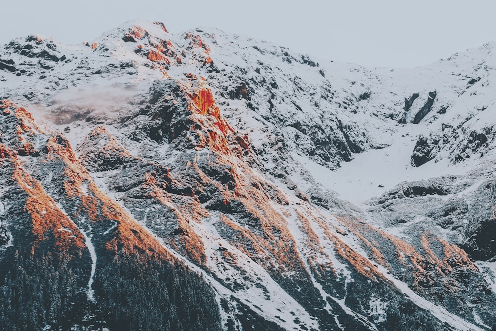 澄み切った青空に雪に覆われた山