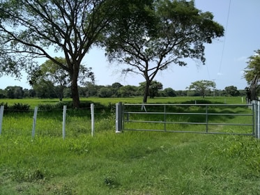 A wide farm field enclosed by sturdy agricultural fencing with a gate operator.
