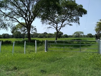 A farm enclosed by durable agricultural mesh fencing with green fields in the background.