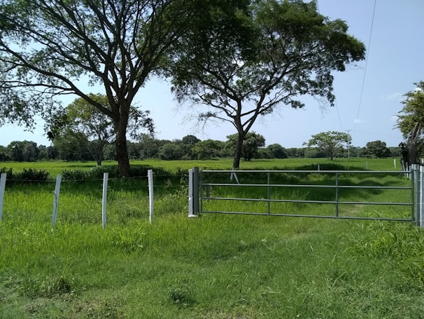 A farm enclosed by durable agricultural mesh fencing with green fields in the background.