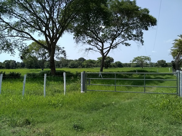 A lush green field protected by solar fencing.