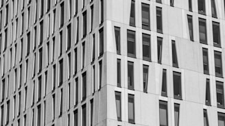 white concrete building