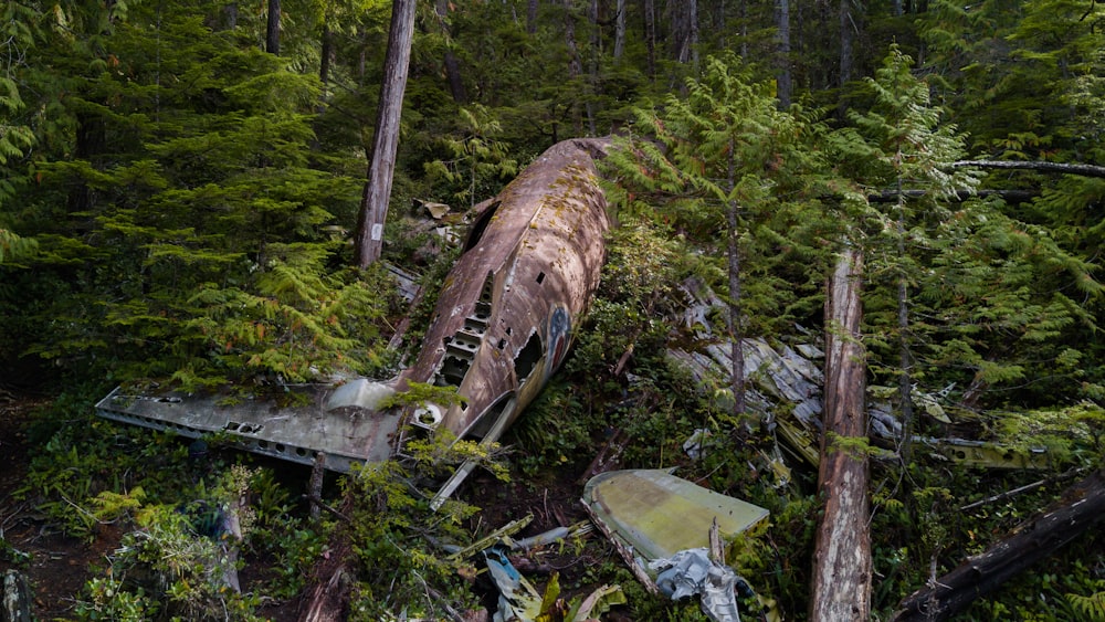 wrecked plane in forest during daytime