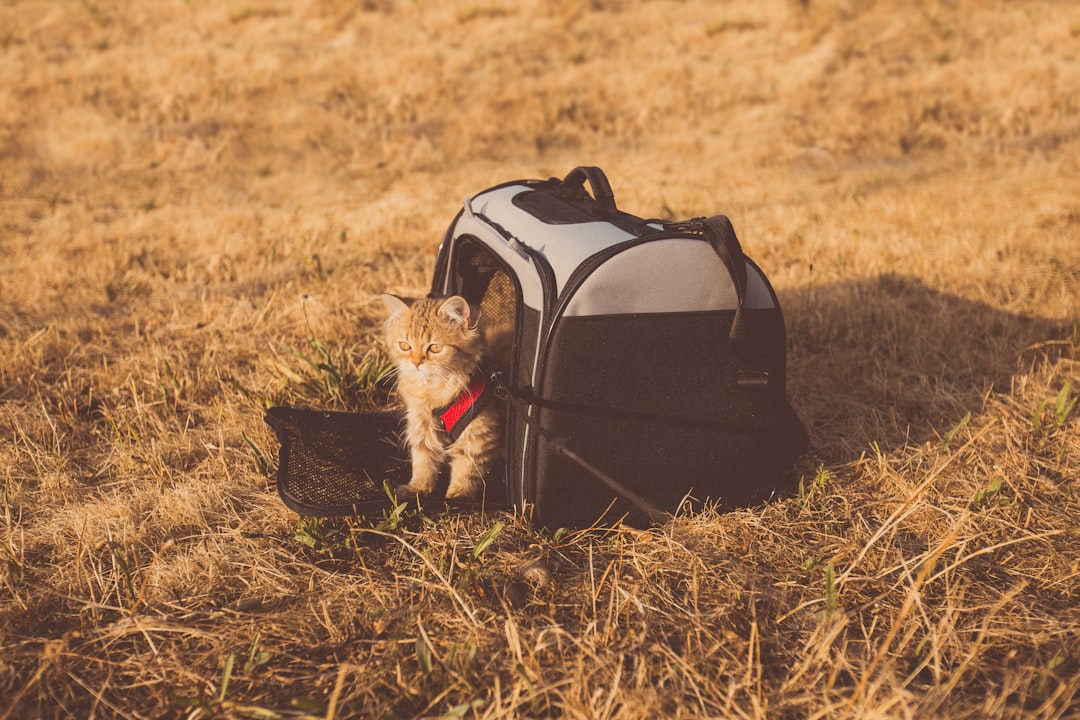 travelers stories about Wildlife in Zwolle, Netherlands