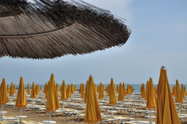 yellow beach umbrellas