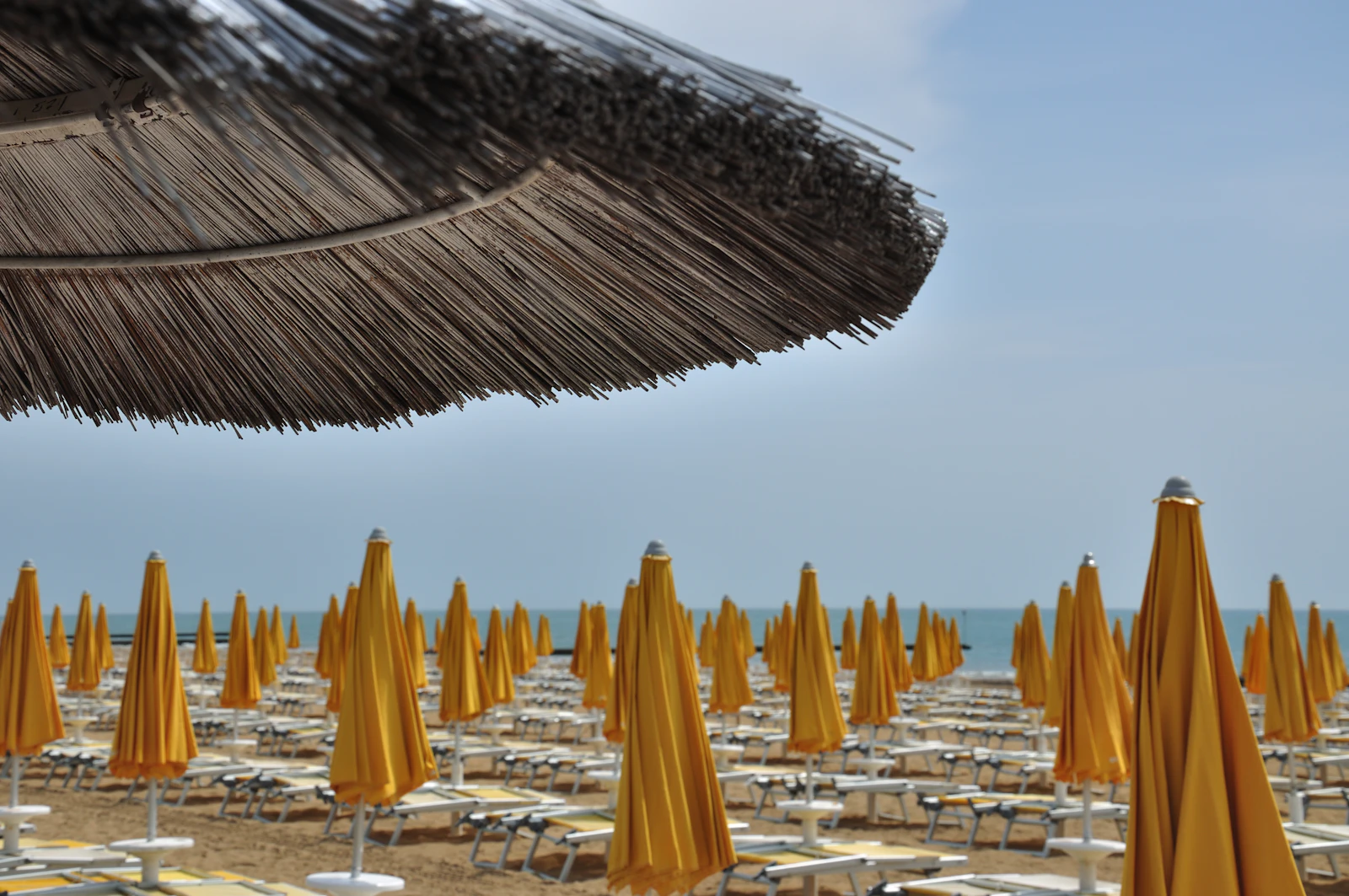 File ordinate di ombrelloni gialli su spiaggia sabbiosa adriatica — la cifra visiva delle località balneari venete come Jesolo, Cavallino e Caorle
