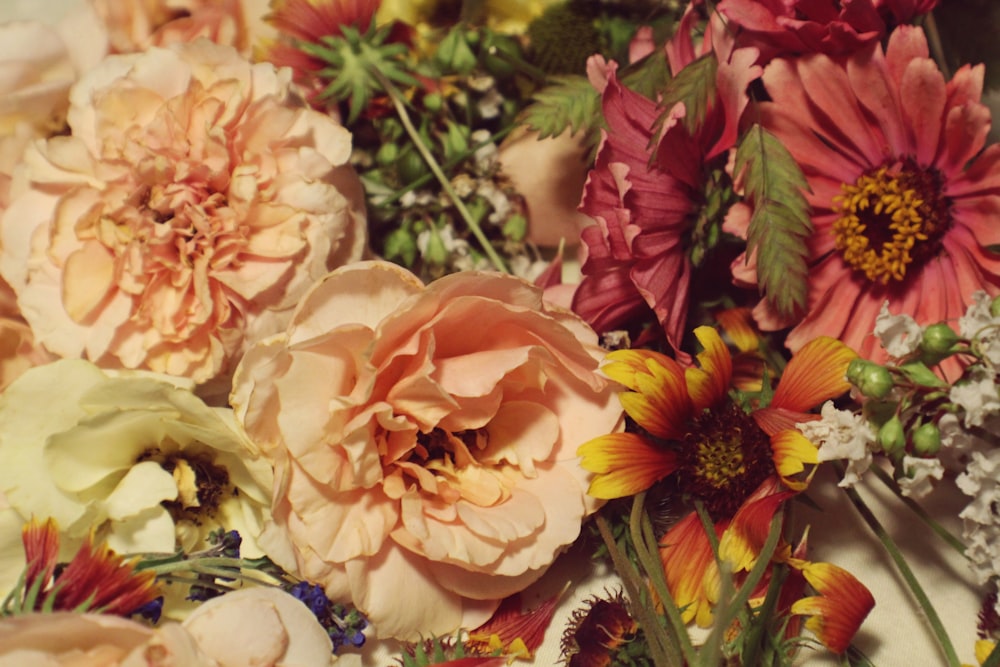 white and pink petaled flower bouquet close-up photo