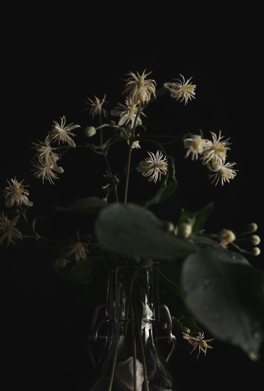 white petaled flower arrangement