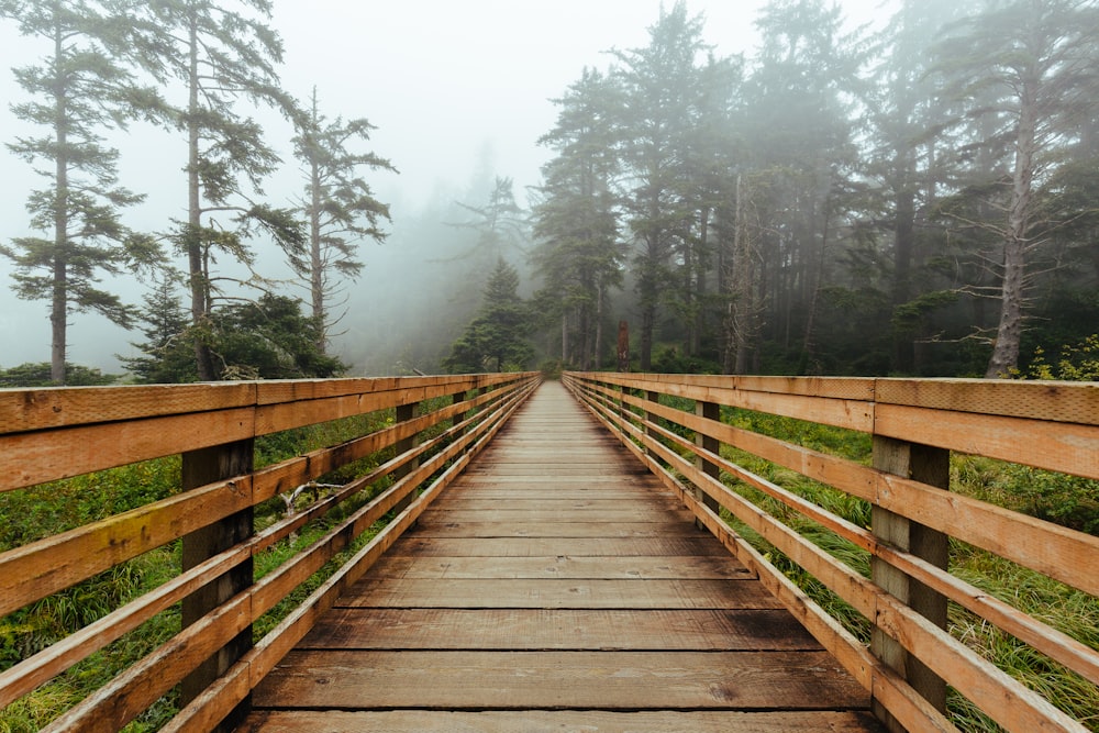 braune Holzbrücke zwischen Bäumen