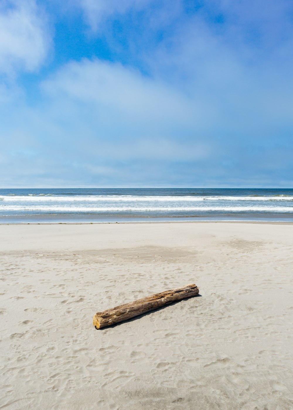 madeira marrom à deriva na costa perto da praia