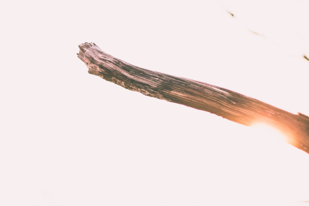 a close up of a piece of wood with a bird flying in the background