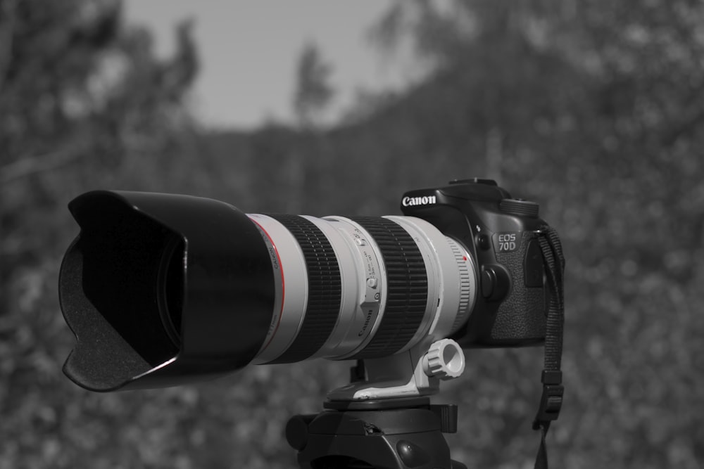DSLR camera on grayscale photography