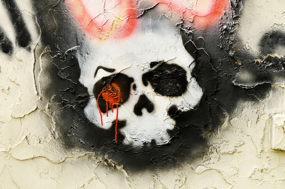 close-up photo of human skull illustration