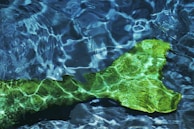 A vibrant green, mermaid-like tail is submerged in clear blue water. The surface of the water reflects light, creating ripples and patterns around the tail.
