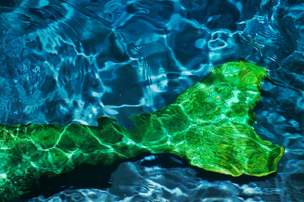 green mermaid tail under water