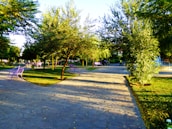 A well-maintained park with paved walkways winding through lush green trees and grass. Purple benches are placed along the pathway, and a bicycle is visible in the distance. There is a fountain in the background creating a serene atmosphere.