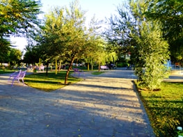 A well-maintained park with paved walkways winding through lush green trees and grass. Purple benches are placed along the pathway, and a bicycle is visible in the distance. There is a fountain in the background creating a serene atmosphere.