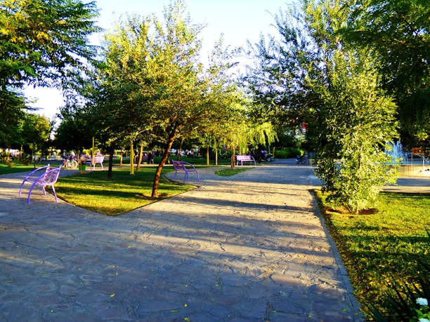A well-maintained park with paved walkways winding through lush green trees and grass. Purple benches are placed along the pathway, and a bicycle is visible in the distance. There is a fountain in the background creating a serene atmosphere.