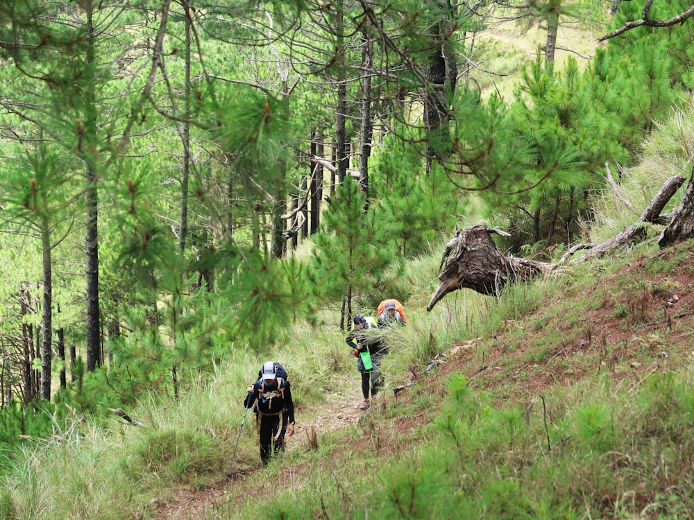 groupe d’homme marchant sur la montagne