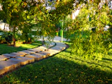A modern garden layout with lush greenery and stone pathways under soft sunlight.