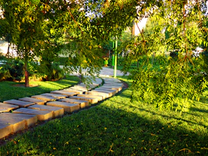 A serene modern garden with natural stone pathways and lush greenery under soft sunlight