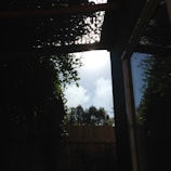 Sunlight filtering through a translucent solarium pool cover on a bright day.