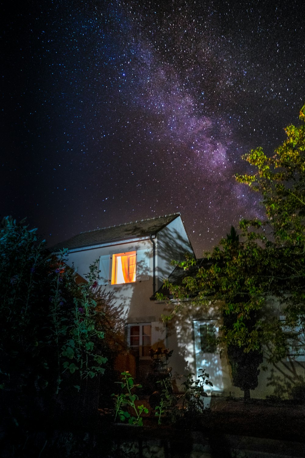 white and black house beside trees during nighttime