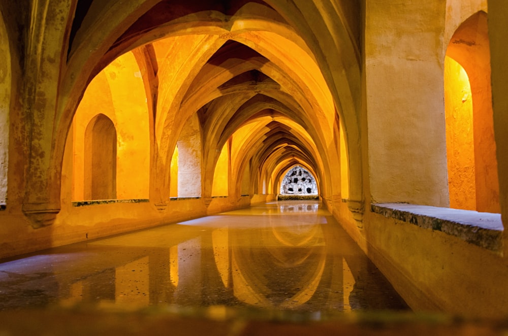 brown dome ceiling hallway