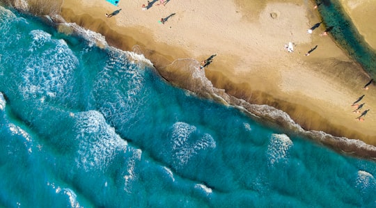 aerial shot photo of beach in Marina di Ardea Italy