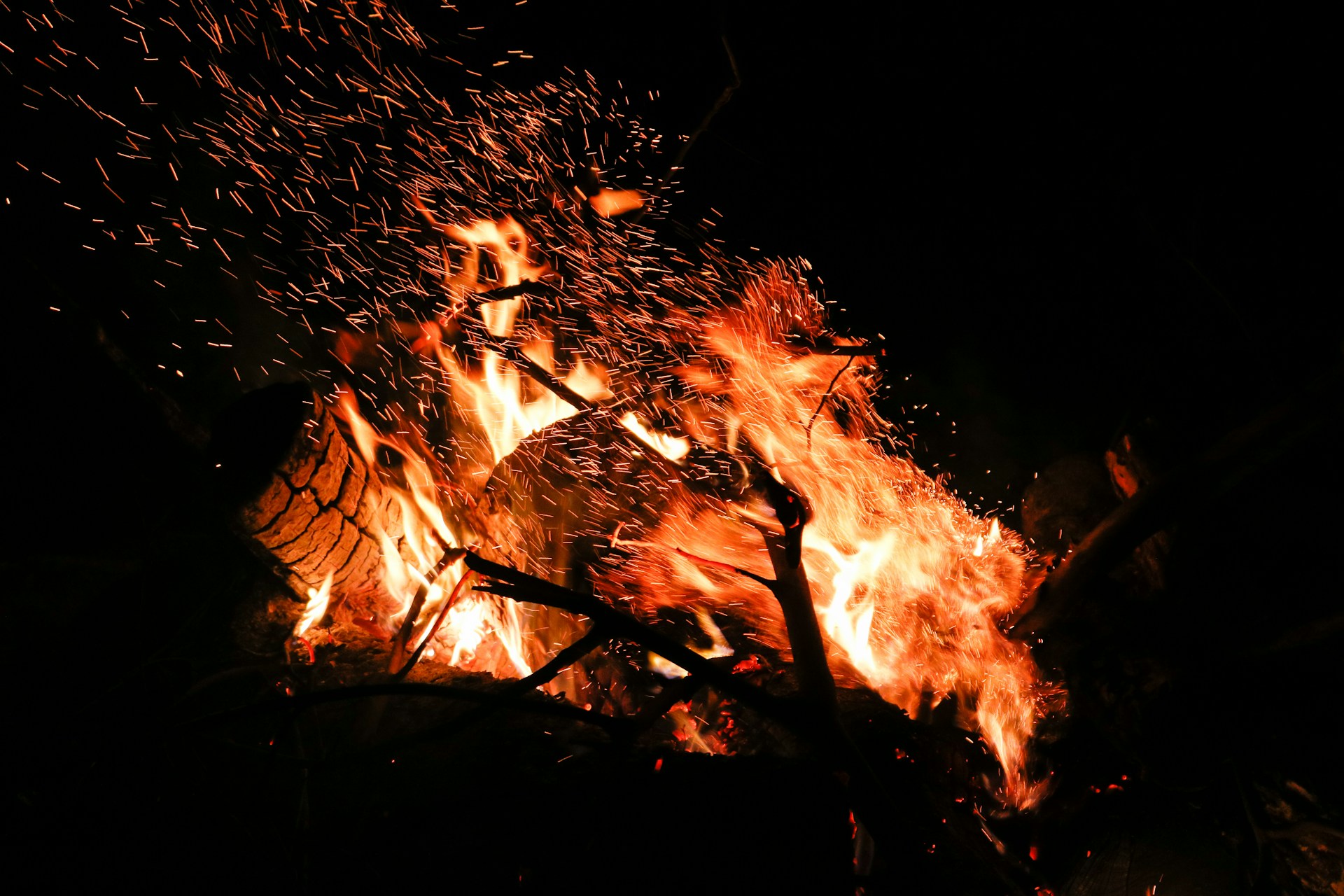 firing woods