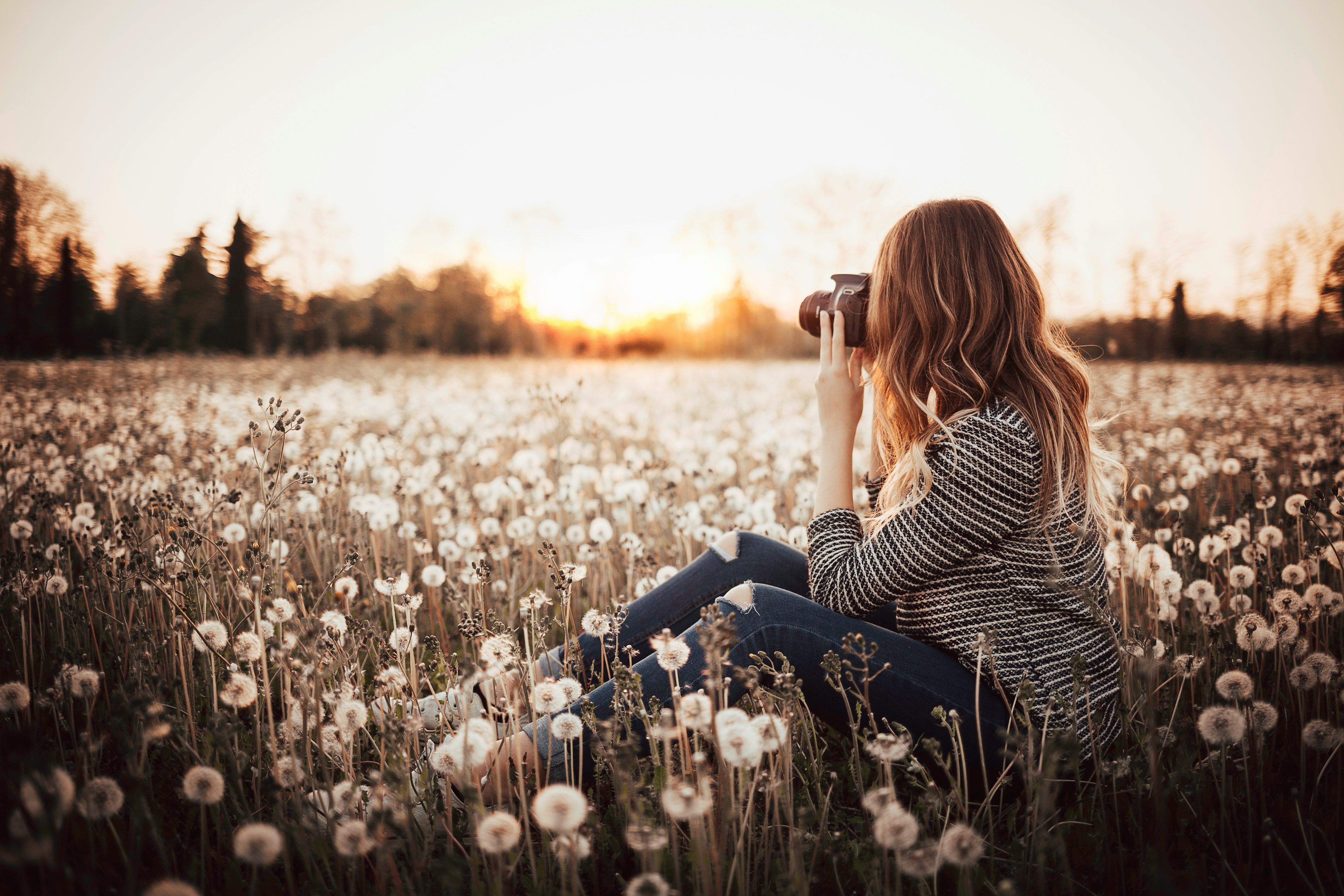 woman sitting on flower field taking photo of trees