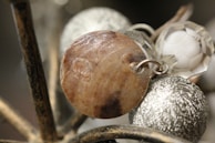 A close-up of a piece of jewelry with a wooden round element attached to a metal hoop, alongside a textured silver sphere and a faceted clear bead. The objects are intertwined on what seems to be a metallic structure.