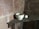 A white mortar and pestle sit on a dusty wooden shelf against a backdrop of exposed, textured brick walls.