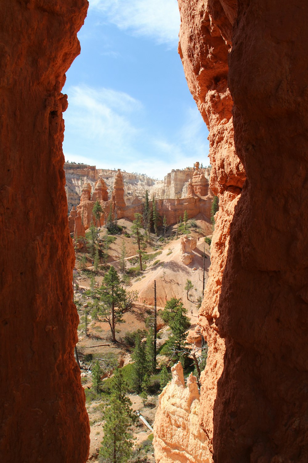 brown rock formation with trees