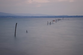 A close-up of a wooden stake marking land property