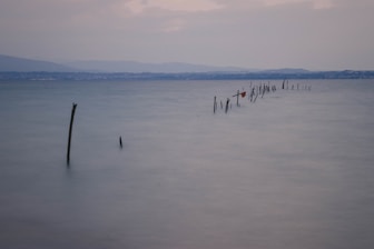 A close-up of a wooden stake marking land property