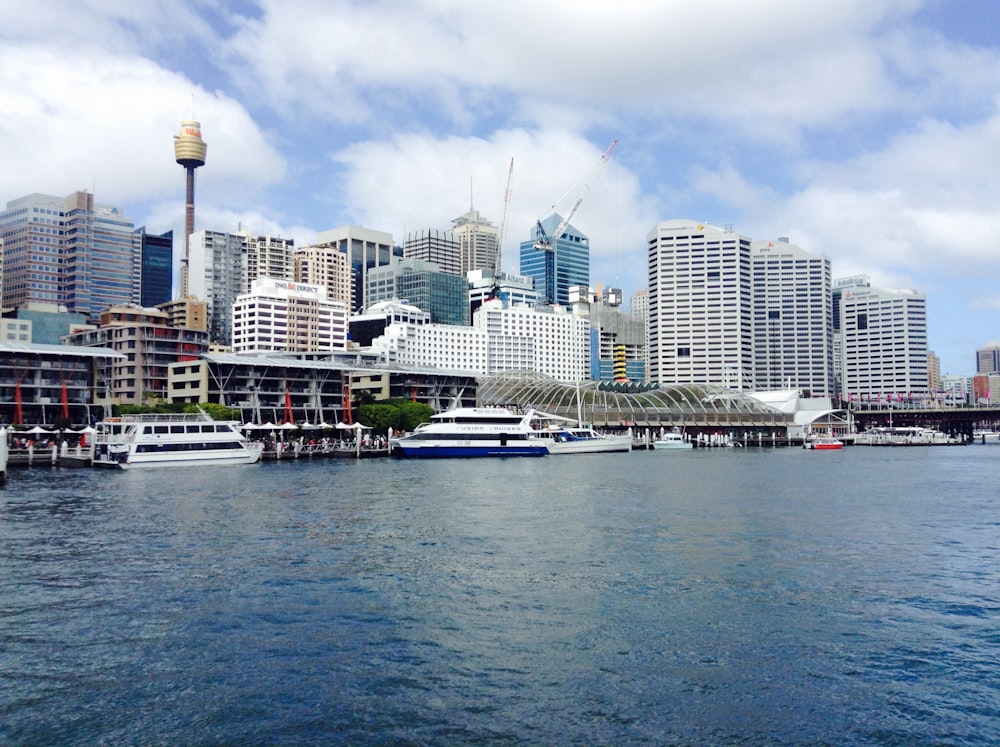 white cruise ship near white buildings