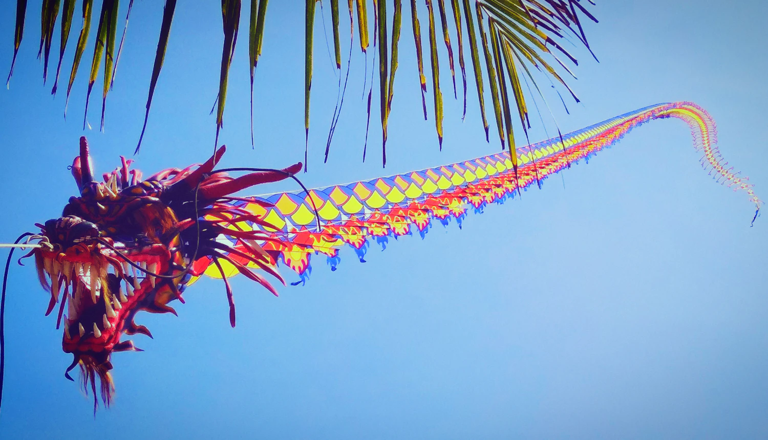 A long Chinese dragon kite with a painted head and a tail of round discs flying in the sky