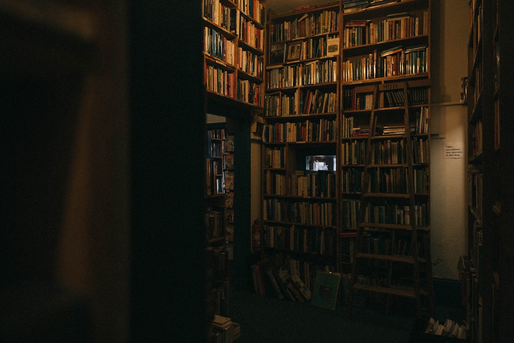 brown wooden shelves with assorted books