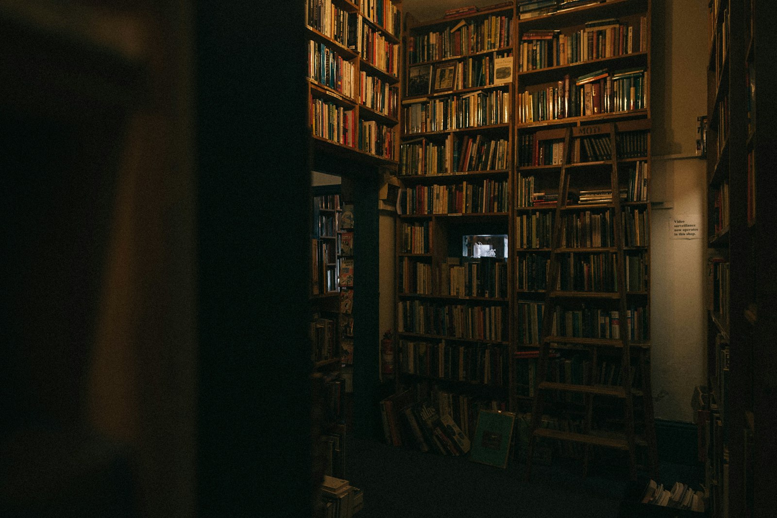 Nikon D750 + Nikon AF-S Nikkor 24mm F1.8G ED sample photo. Brown wooden shelves with photography