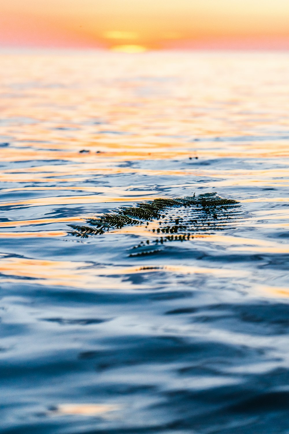 body of water close-up photo