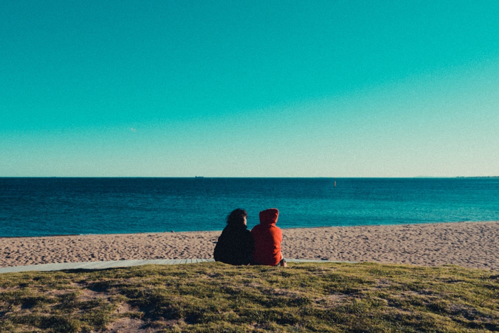 two person sitting on green grass