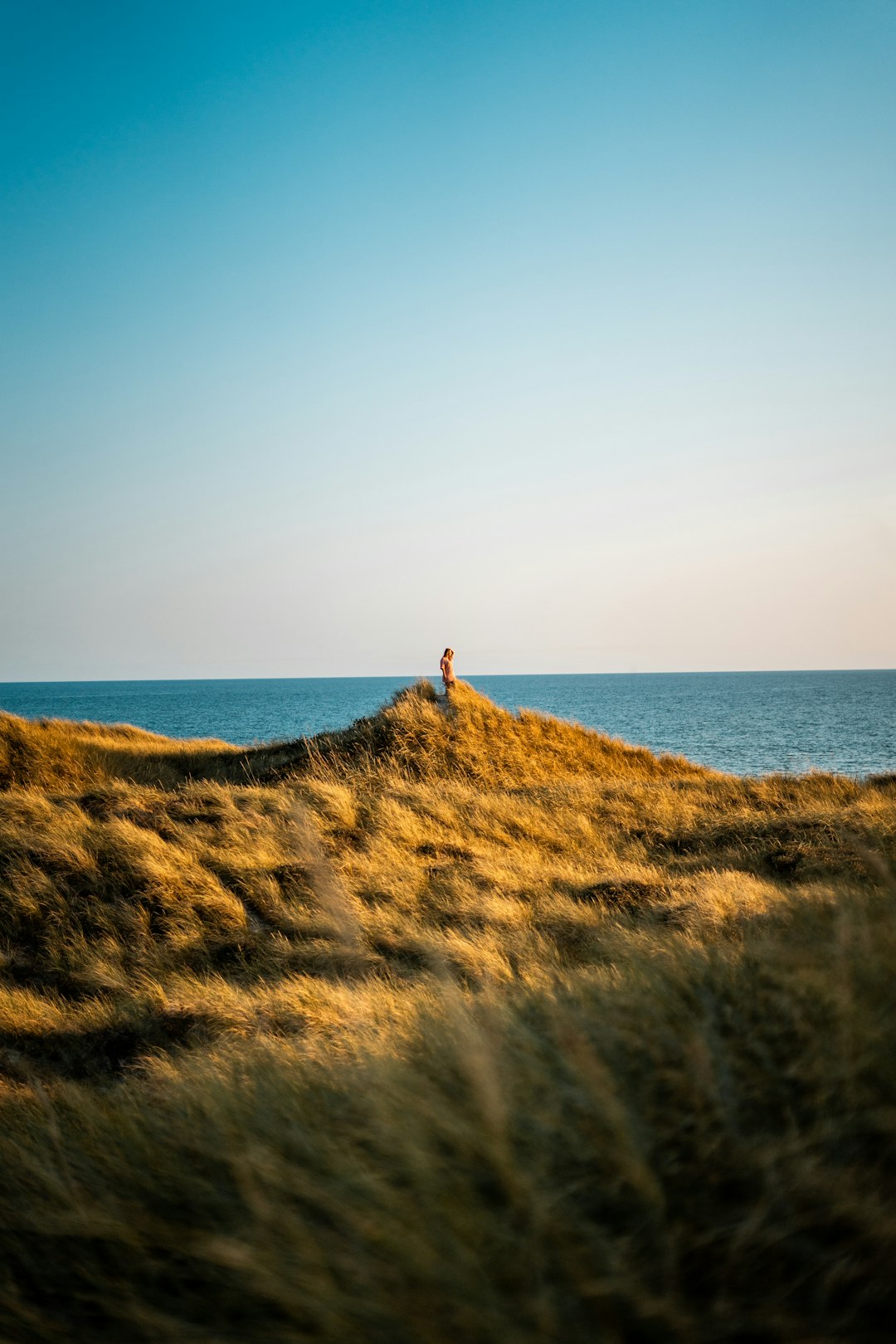 Shore photo spot Søndervig Denmark