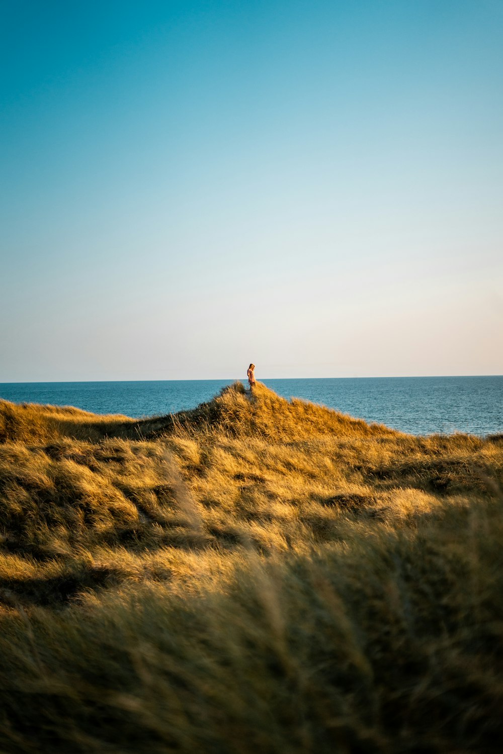 une personne debout au sommet d’une colline couverte d’herbe