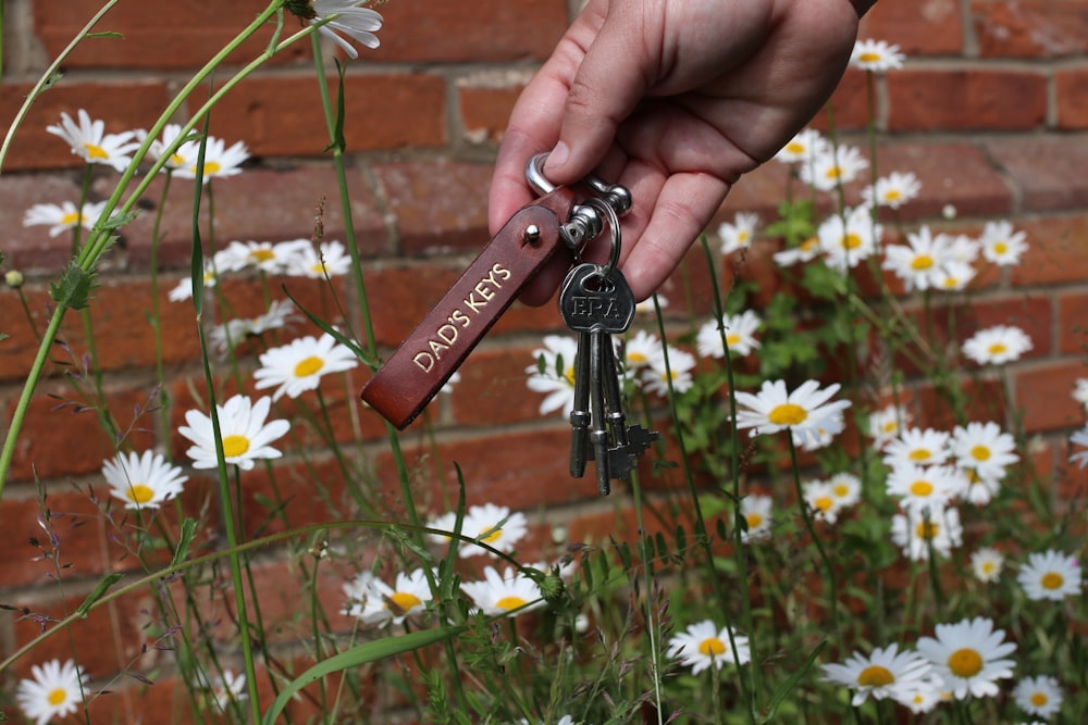 person holding gray skeleton keys