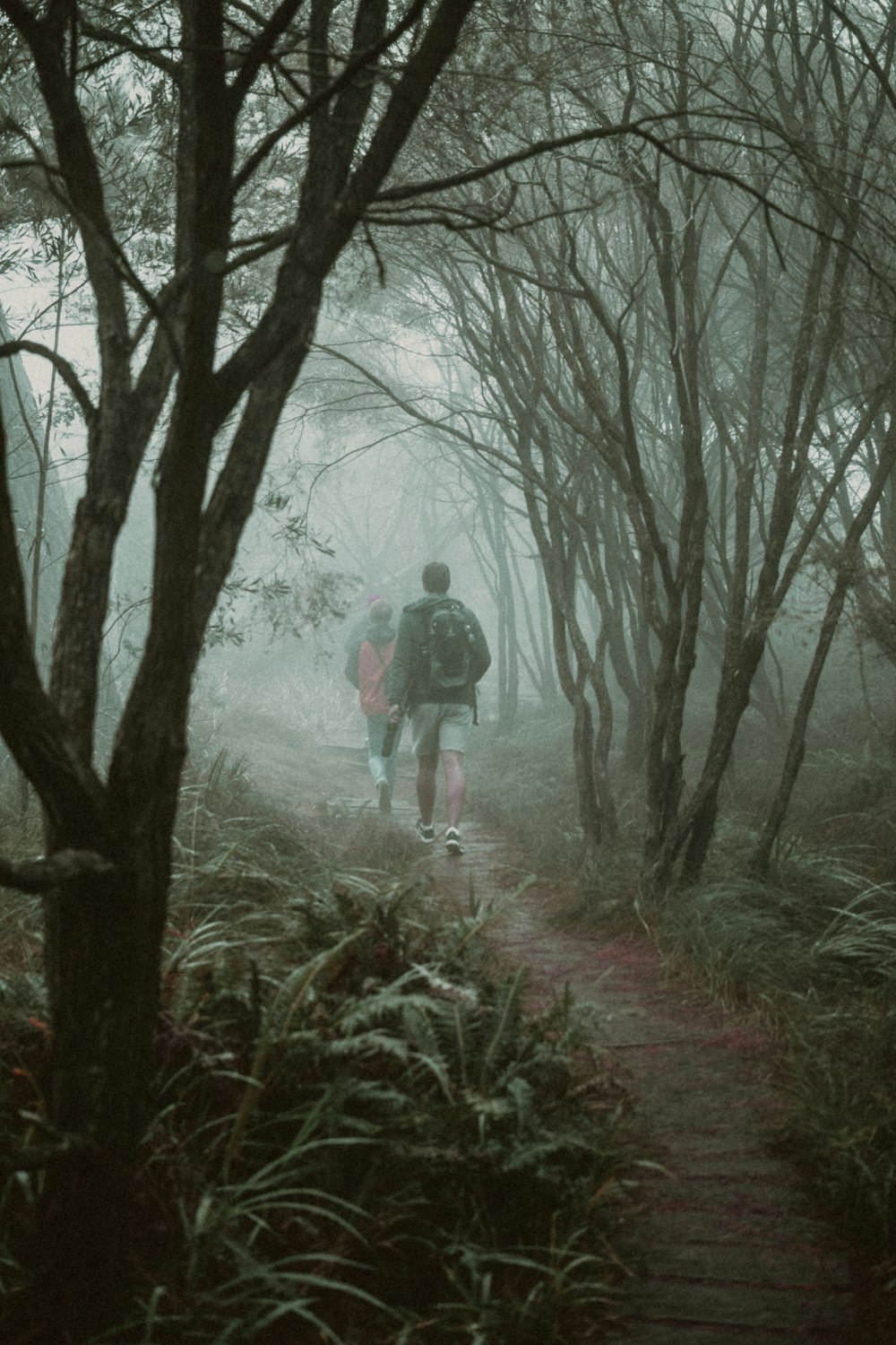 a man walking through a forest on a foggy day