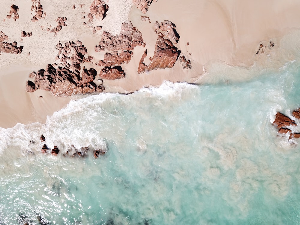 aerial view of ocean and seashore