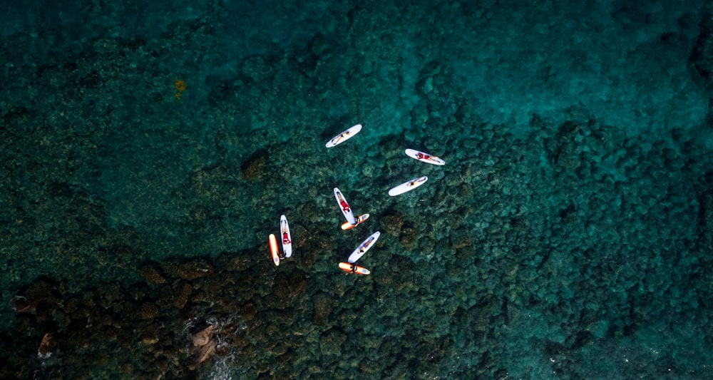 aerial photography of boats on body of water at daytime